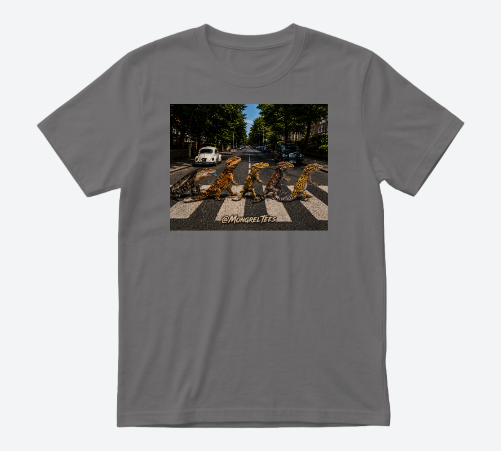 Reptile Crossing